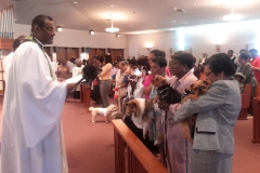 Blessing of the Animals